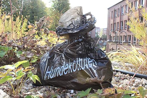 Ein schwarzer Hundekotbeutel liegt vor dem Rathaus. 