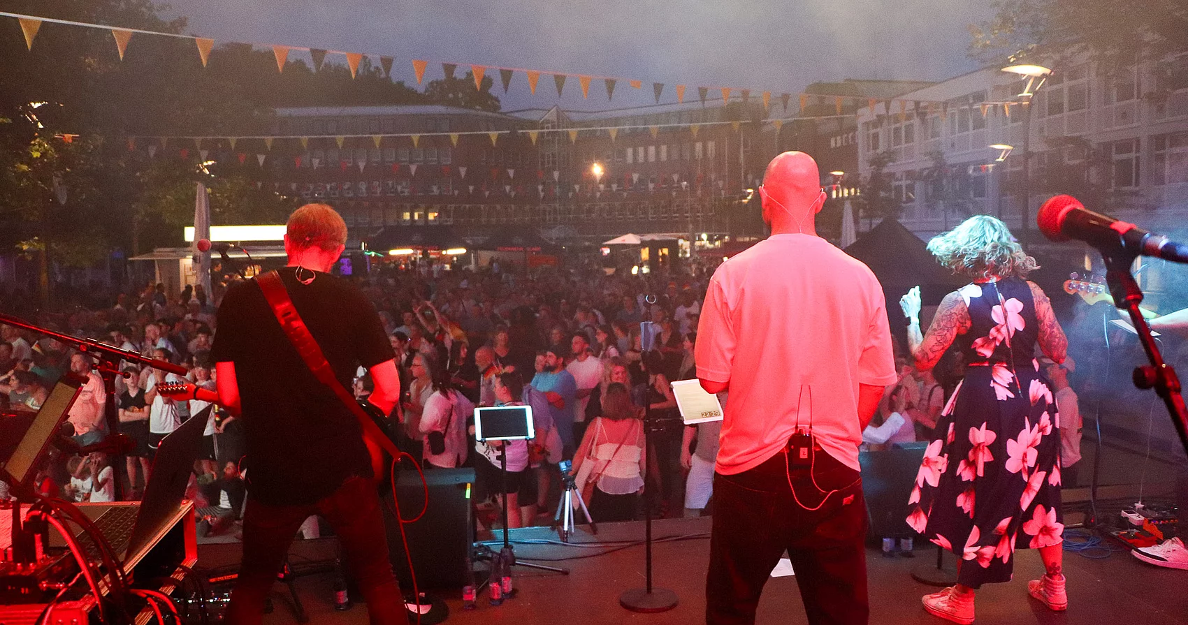 Musiker von hinten mit Blick ins Publikum. 