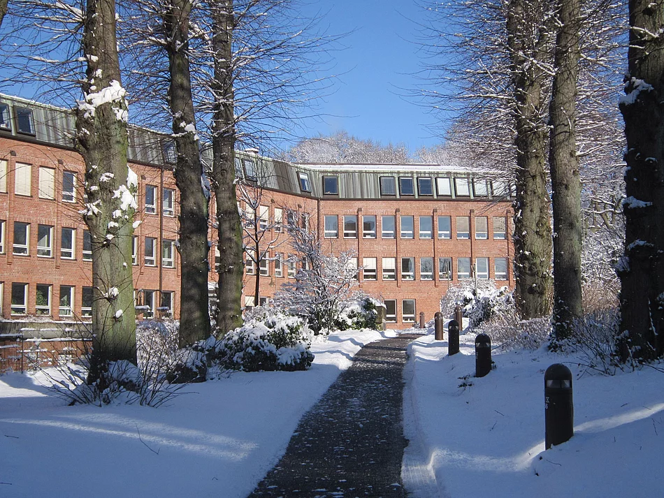 Der verschneite Rathauseingang Oher Weg.