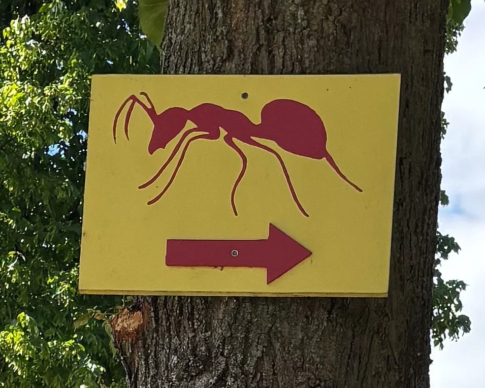 An einem Baum hängt ein gelbes Schild mit einer aufgemalten roten Ameise und einem Pfeil nach rechts.