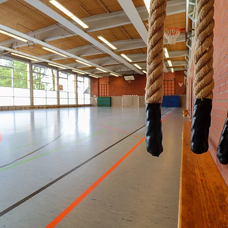 Blick in eine Turnhalle, links bodentiefe Fenster, rechts hängen drei Kletterseile