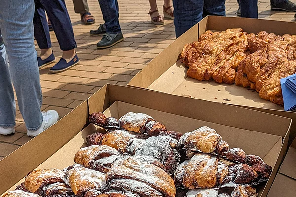 Eine große Menge Franzbrötchen in Kartons