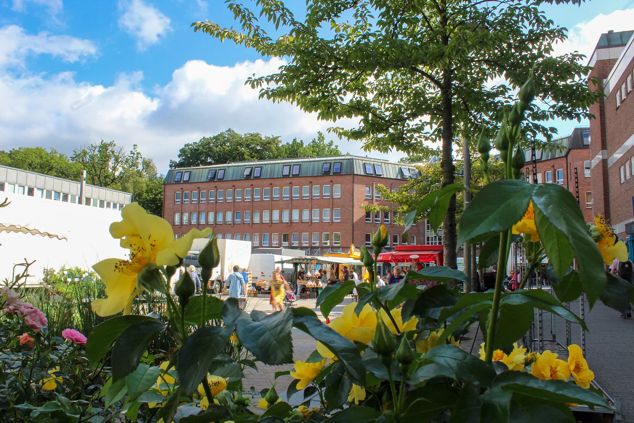 Blumen, Obst, Gemüse, Fisch, Kleidung und viele Leckereien warten auf dem Glinder Wochenmarkt. Foto: Stadt Glinde