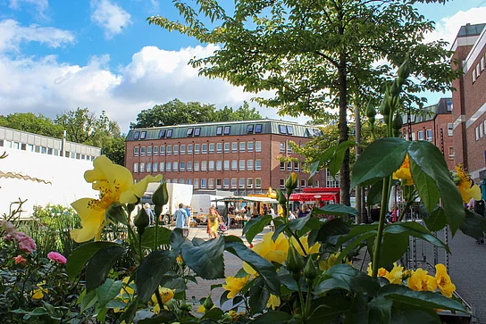 Blumen, Obst, Gemüse, Fisch, Kleidung und viele Leckereien warten auf dem Glinder Wochenmarkt. Foto: Stadt Glinde