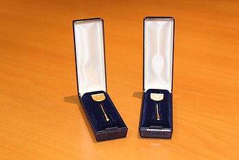 Dies ist eine Aufnahme der beiden Ehrennadeln der Stadt Glinde, jeweils eine in Gold und Silber. Foto: Stadt Glinde