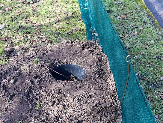 Ein Eimer im Boden an einem Krötenschutzzaun