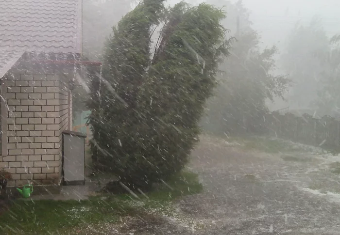 Starkregen vor einem Haus, Bäume biegen sich im Sturm.