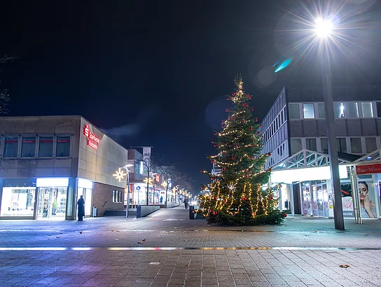 Der Weihnachtsbaum auf dem Markt im Dunkeln mit Beleuchtung