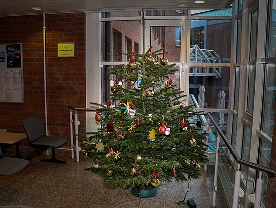 Ein geschmückter Weihnachtsbaum.