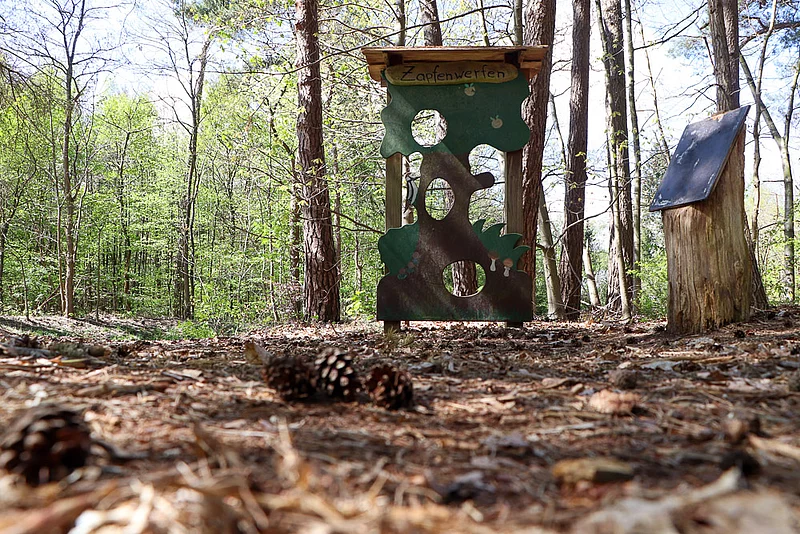 Im Wald liegen auf dem Boden Kiefernzapfen. Im Hintergrund steht eine Wand mit Löchern zum drauf werfen.